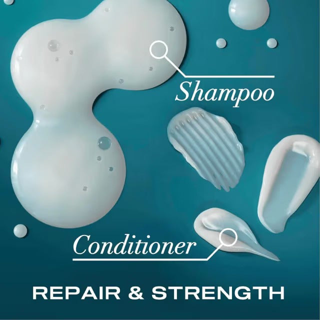 OGX Argan Oil of Morocco Conditioner