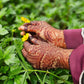 Al Henaa Organic Hand Cone