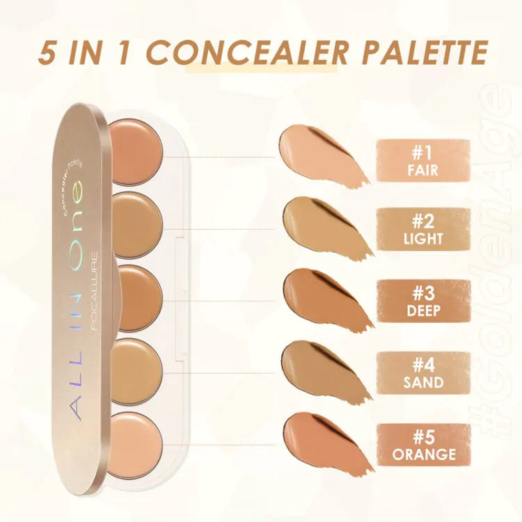 FA299 – Focallure Concealer Palette All In One(1.3gm)
