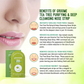 Groome Tea Tree Purifying & Deep Cleansing Nose Strip