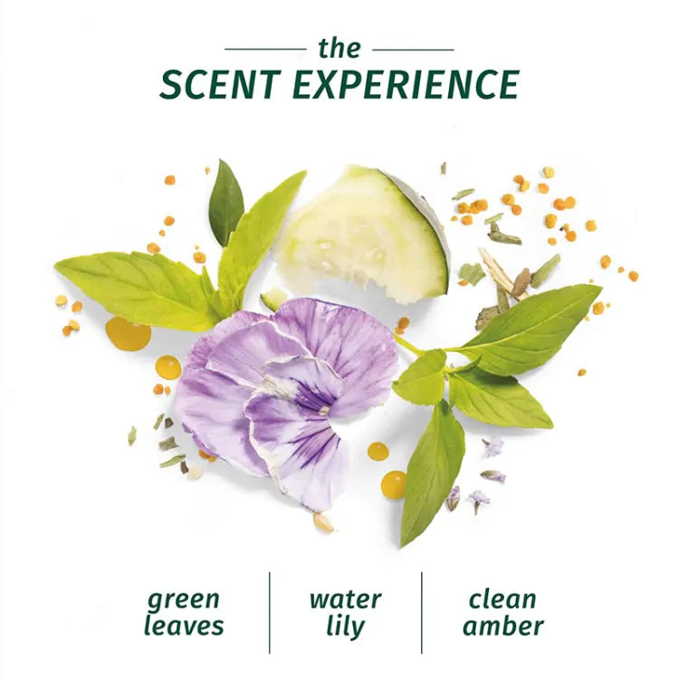Herbal Essence Cucumber & Green Tea Conditioner (400ml)