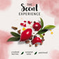 Herbal Essence Arabica Coffee Fruit Conditioner (400ml)