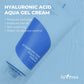 Isntree Hyaluronic Acid Aqua Gel Cream