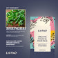 Lavino Organic Magical Hair Pack (60g)