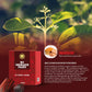 Rajkonna 100% Natural & Organic Red Sandalwood Powder (25gm)