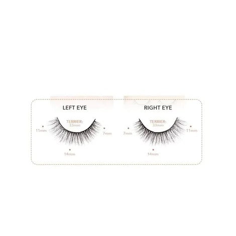 PROfessional Premium 3D Eyelashes 5 Pair (F01)